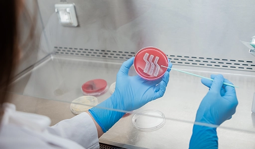 Eine Person in einem weißen Laborkittel und blauen Handschuhen arbeitet an einer Probe (Foto)